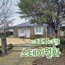 스테이 월화 이미지