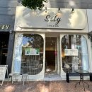 실리(sily)