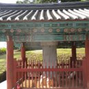 김육불망비 Daum카페