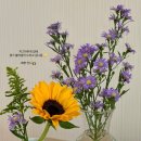 스노우폭스플라워 - 서대문구 연세로 19 | 스노우폭스플라워