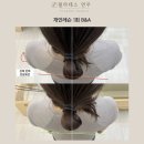 필라테스401