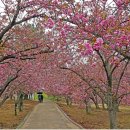 경주숲 1,2 이미지