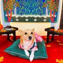 하률로12번길 이미지