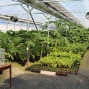 청죽골 농장 이미지