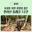 한라산둘레길 동백길 | 한라산 둘레길 3구간 산림 휴양길 서귀포 자연 휴양림 품다