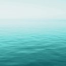 수성무역 이미지