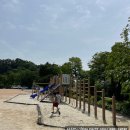 조안초등학교(병설) | 생태교육 두 번째, 모내기 체험