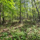 응애농원 이미지