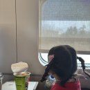 안성맞춤랜드공원6 | 에버랜드 근처 숙소 추천! 라마다 용인 호텔 숙박 솔직 후기 (위치·조식·주차)