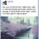 승희 미용실 네이버블로그