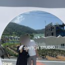 매미와 함께하는 여름여행 이미지