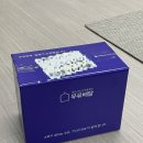 출근을 했다~ 잘.했.다