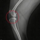 더라온메디칼 이미지