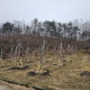 산업로4(동) 이미지