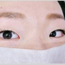 바이블리아이래쉬