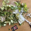 짱가농장 이미지