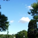 작지만 이쁜 세종대학교 캠퍼스에요 이미지