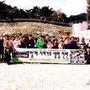 어린이축구장 Daum카페