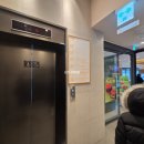 대관령하나로베이커리 | 강원도 가볼만한 곳 베이커리 카페 트리고 삼척해변점 솔직 방문 후기