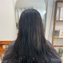 살롱디라홍
