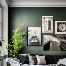 식물 인테리어 이미지