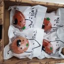 지에스증평삼보점 이미지