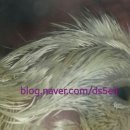 성계농장 이미지