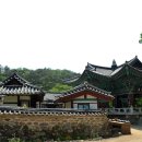 (합자)강원관광 | 마곡사 #3. 범종루, 염화당, 심검당, 고방, 대광보전, 공주마곡사오층석탑을 지나...(Magoksa Temple...