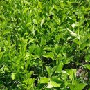 장속농장 이미지