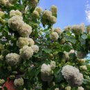 오금농장 이미지