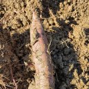 비봉농장 이미지