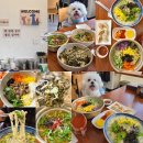 신일환동물병원 | <여수 애견동반 식당> 공화동 분식 찐맛집 동백분식