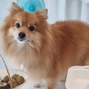 끄레므멍 이미지