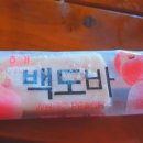 거문도 주민 여행사