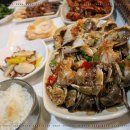 낭만애견 이미지