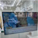 코지네일 - 해운대구 세실로 64 | 코지네일