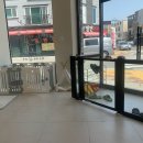 마이유어펫살롱 이미지