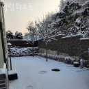 힐링위드독 이미지