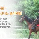 신나는 때지야 이미지