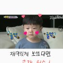 케이스위스가야 이미지