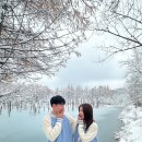 삿포로 신혼여행 11월 비에이투어 후기 (인디고트래블 이레가이드님 강추!)