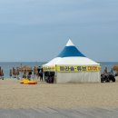 금모래횟집 | 강원도 양양 낙산 해수욕장 야간개장 물놀이 후기 : 파라솔, 튜브 대여 가격, 근처 음식점 부어치킨...