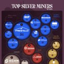 순위: 2023년 최고의 은 생산 회사 이미지