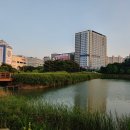 새마을세탁소 이미지