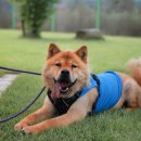 멍스퀘어 이미지