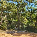 행정사사무소 휴림 이미지