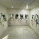 수진초등학교 이미지