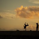 참사랑 연합의원 이미지