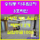 다우림 2차 이미지