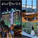 정선 숙소 하이원리조트 그랜드호텔 메인타워 스탠다드트윈 웰니스프로그램 달팽이숲길 강원도호캉스